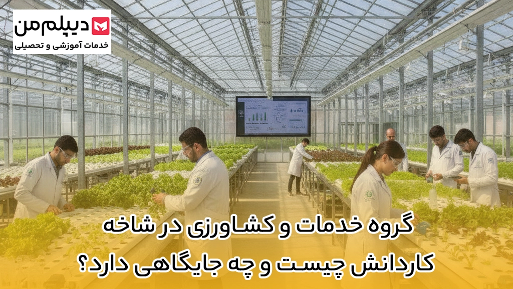 گروه خدمات و کشاورزی در شاخه کاردانش چیست و چه جایگاهی دارد؟