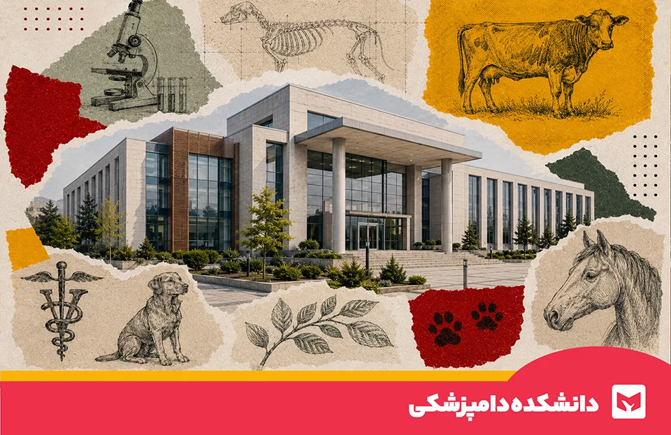 دامپزشکی